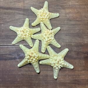 Nautical Knobby Horned Starfish Candles Set Of 5 NWOT